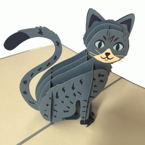 pop-up blauwe poes kaart