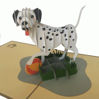 Pop-up hond kaart