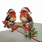 pop-up kerst vogels kaart