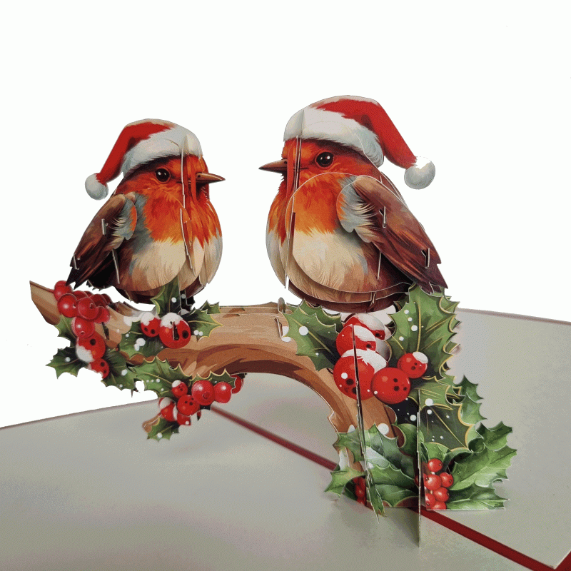 pop-up kerst vogels kaart