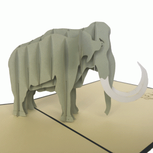 pop-up olifant kaart