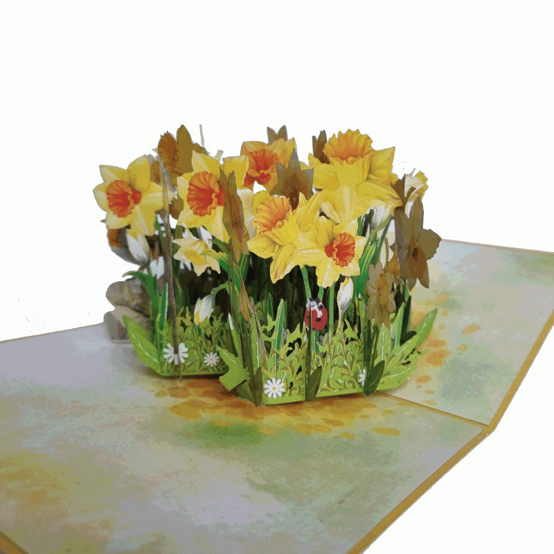 pop-up narcis 2 kaart