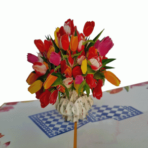 tulpen 2