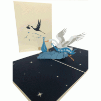 pop-up ooievaar met jongen kaart