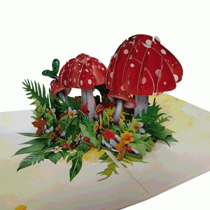 pop-up paddenstoel kaart