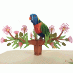 pop-up honingpapegaai kaart