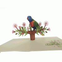 pop-up honingpapegaai kaart