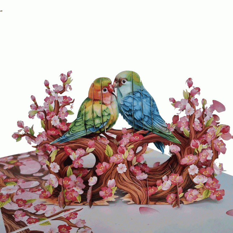 pop-up twee parkieten kaart