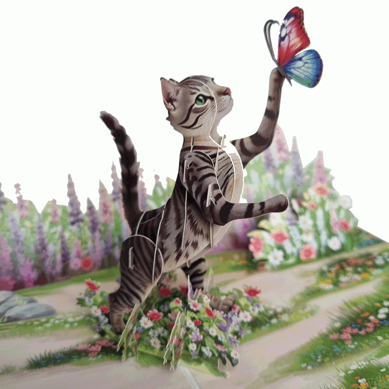 Pop-up poes met vlinder kaart