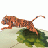 pop-up tijger kaart