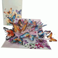 pop-up vlinder wolk kaart