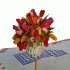 tulpen 2
