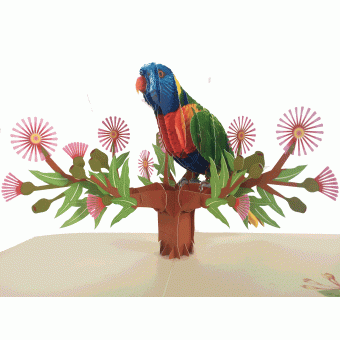 pop-up honingpapegaai kaart