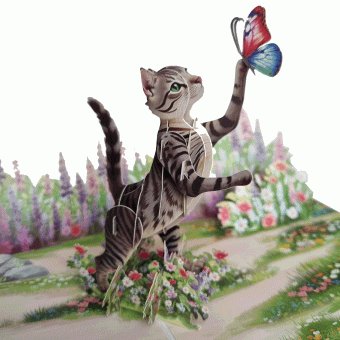 Pop-up poes met vlinder kaart